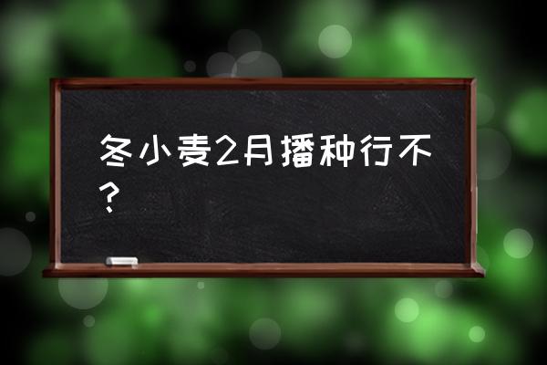 小麦什么时间种植最好 冬小麦2月播种行不？