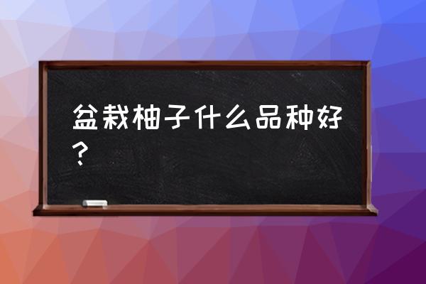 柚子用什么盆栽好 盆栽柚子什么品种好？