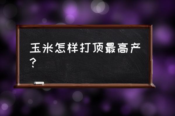 玉米分叉侧枝怎么处理 玉米怎样打顶最高产？