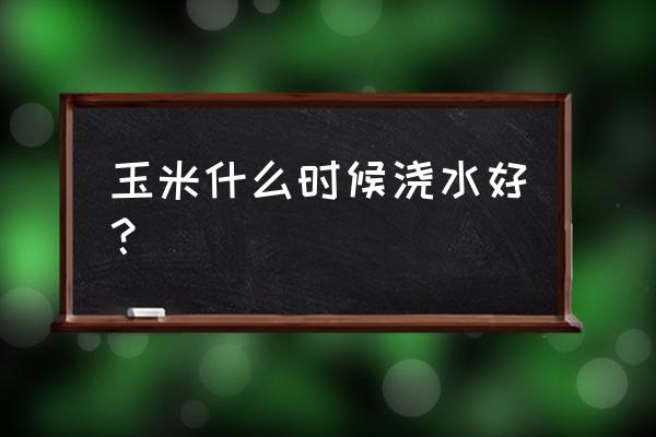 秋天养花什么时间浇水最好 玉米什么时候浇水好？