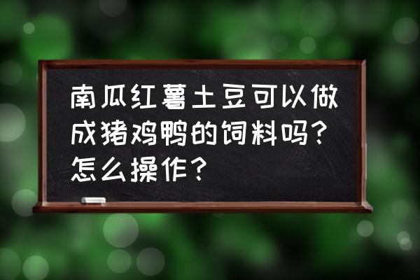 猪最爱吃什么才能生宝宝 南瓜红薯土豆可以做成猪鸡鸭的饲料吗？怎么操作？