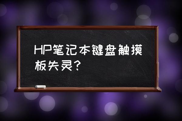 hp笔记本触摸板鼠标不动了怎么办 HP笔记本键盘触摸板失灵？