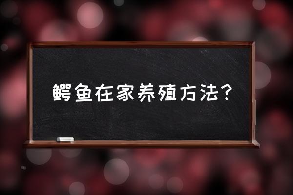 室内泥鳅养殖需要阳光吗 鳄鱼在家养殖方法？