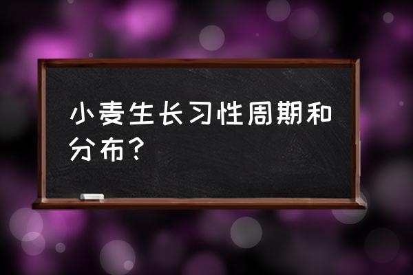 小麦的最大产地在哪儿 小麦生长习性周期和分布？