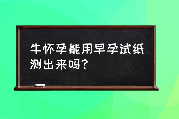 牛怀孕多长时间能用试纸试出结果 牛怀孕能用早孕试纸测出来吗？