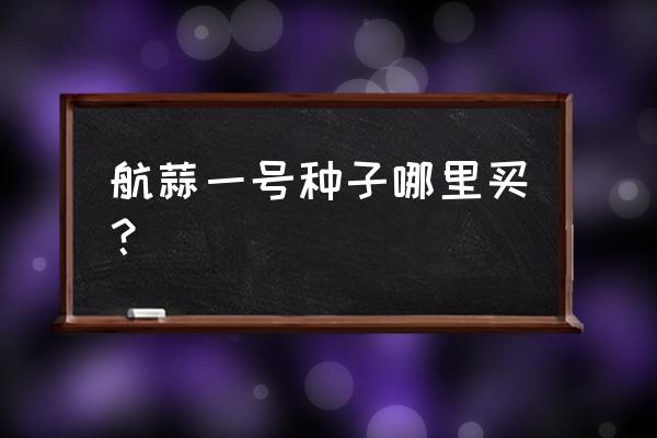 大蒜种子多少钱一公斤 航蒜一号种子哪里买？