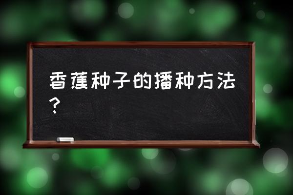 黄小芽红茶烘焙温度 香蕉种子的播种方法？