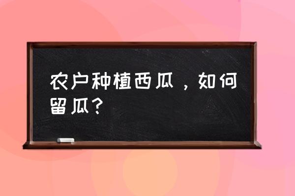 我的世界西瓜怎么种图片教程 农户种植西瓜，如何留瓜？