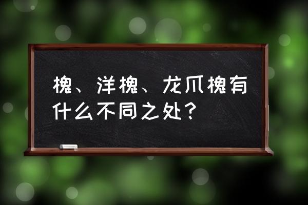 春季龙爪槐嫁接的最佳时间 槐、洋槐、龙爪槐有什么不同之处？