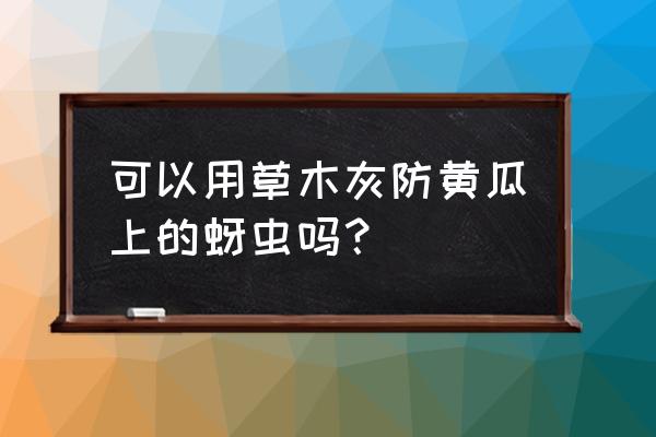 黄瓜腻虫怎么消灭最快最有效 可以用草木灰防黄瓜上的蚜虫吗？