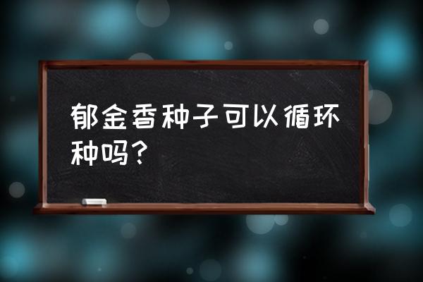 儿童手工做郁金香花束 郁金香种子可以循环种吗？