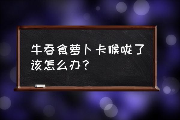 牛吃什么东西好得快 牛吞食萝卜卡喉咙了该怎么办？