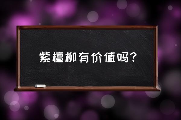 紫檀柳的鉴别正确方法 紫檀柳有价值吗？