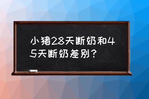 母猪正常断奶的最佳方法 小猪28天断奶和45天断奶差别？