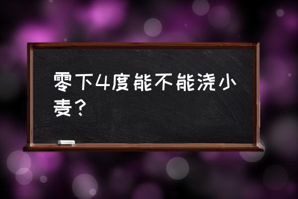 小麦防冻最佳时间 零下4度能不能浇小麦？