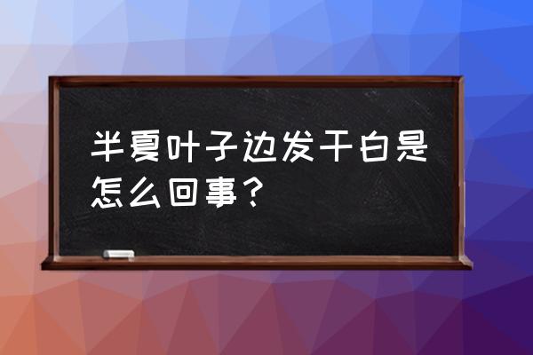 半夏根腐叶斑病防治方法 半夏叶子边发干白是怎么回事？