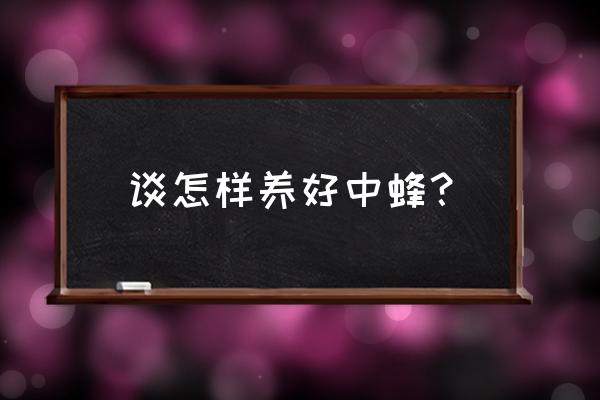 怎样才能把中蜂养的又好又多 谈怎样养好中蜂？