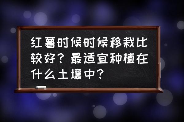 我的世界村民种子如何种植 红薯时候时候移栽比较好？最适宜种植在什么土壤中？