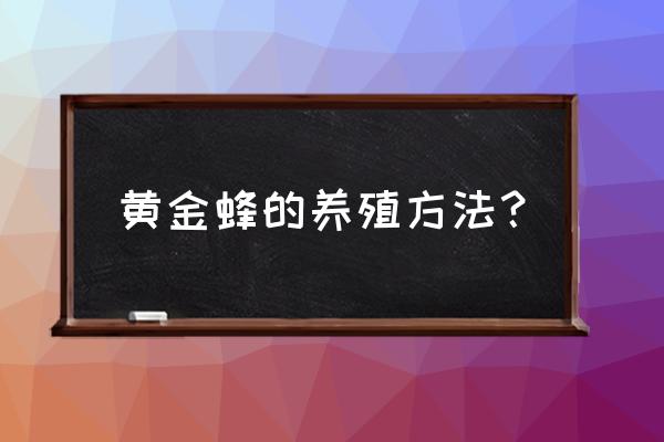 蜜源预估收益怎么结算 黄金蜂的养殖方法？