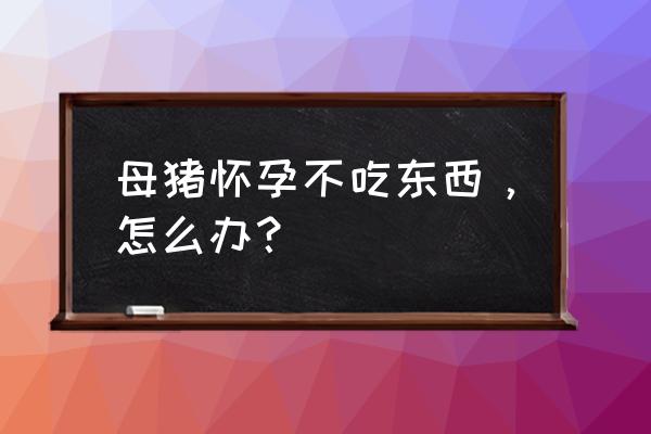 猪怀孕不吃食物怎么办 母猪怀孕不吃东西，怎么办？