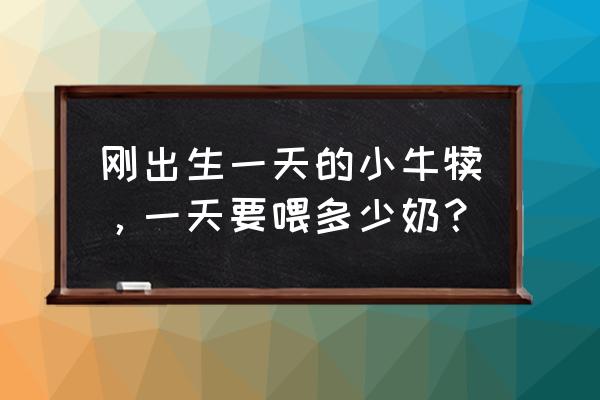 刚出生牛犊人工饲养方法 刚出生一天的小牛犊，一天要喂多少奶？