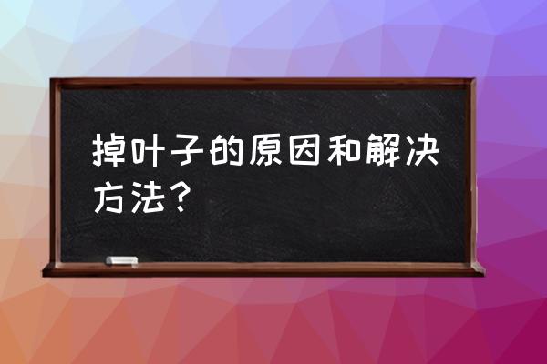 叶子发黄的原因和解决方法 掉叶子的原因和解决方法？