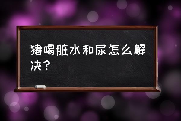 猪正常损失会计处理 猪喝脏水和尿怎么解决？