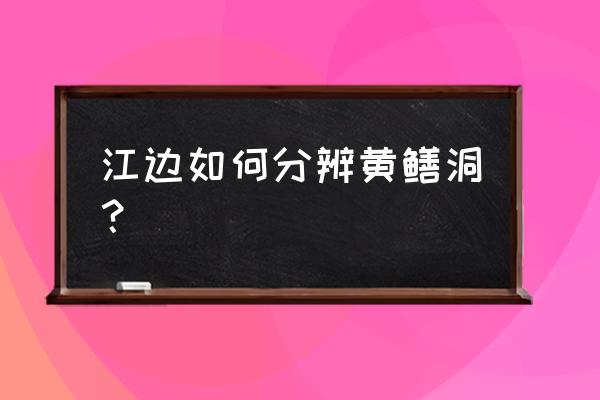 怎么看哪里塘有河虾 江边如何分辨黄鳝洞？