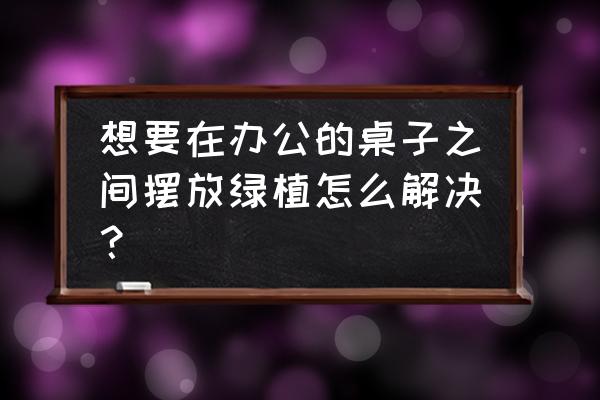 办公桌上的植物怎么摆放好看 想要在办公的桌子之间摆放绿植怎么解决？