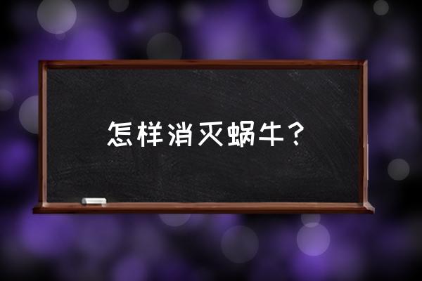 灭蜗牛小妙招全搞定 怎样消灭蜗牛？