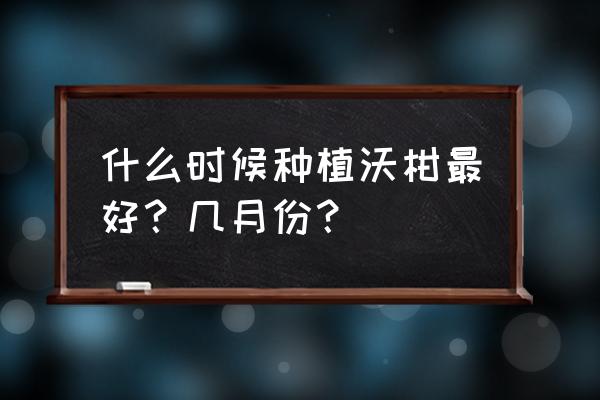 沃柑降酸增甜方案 什么时候种植沃柑最好？几月份？