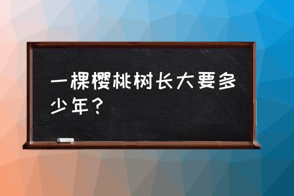 樱桃结果期是多久 一棵樱桃树长大要多少年？