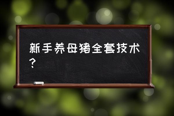 怎么养好母猪最好 新手养母猪全套技术？