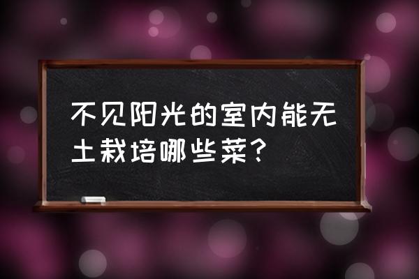 家庭无土种菜40种方法 不见阳光的室内能无土栽培哪些菜？