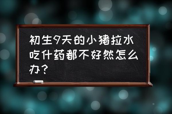 小猪腹泻拉水怎么治 初生9天的小猪拉水吃什药都不好然怎么办？