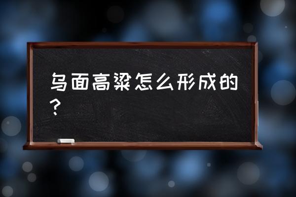 乌米的大面积种植方法 乌面高粱怎么形成的？