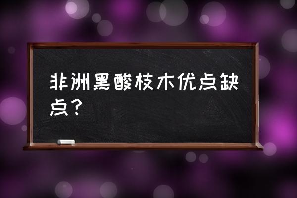 黑酸枝木家具选购技巧行情分析 非洲黑酸枝木优点缺点？