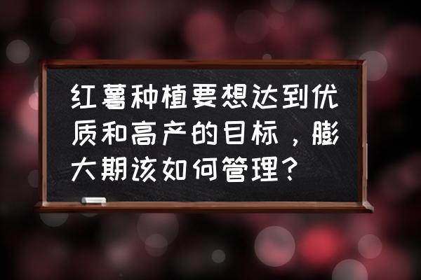 红薯怎样栽种才能高产 红薯种植要想达到优质和高产的目标，膨大期该如何管理？