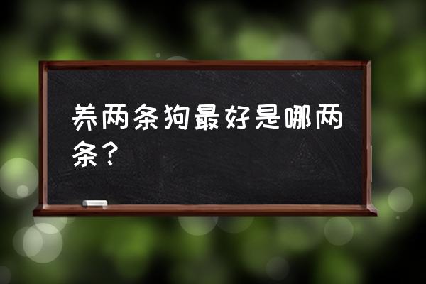 养什么多肉最赚钱 养两条狗最好是哪两条？