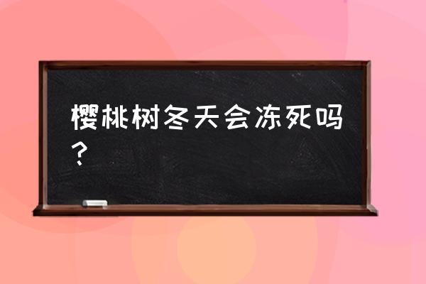 园林工人怎样防止冬天的树木冻死 樱桃树冬天会冻死吗？