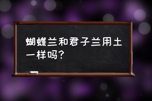 蝴蝶兰花用什么土最合适 蝴蝶兰和君子兰用土一样吗？