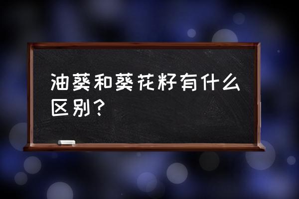 葵花盘的用途与用法 油葵和葵花籽有什么区别？