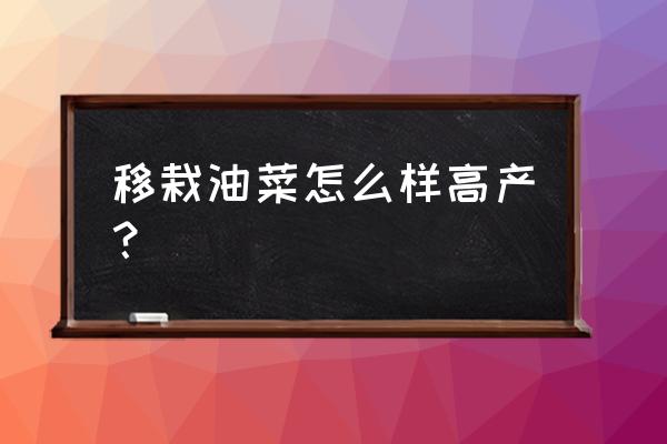 异形丛生游戏合集 移栽油菜怎么样高产？