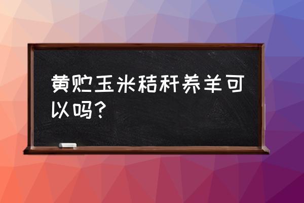 大母羊怎么样上膘快 黄贮玉米秸秆养羊可以吗？