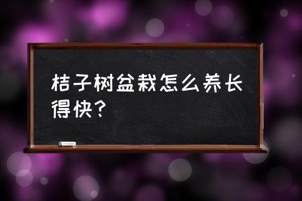 盆栽桔子树施什么肥最好 桔子树盆栽怎么养长得快？