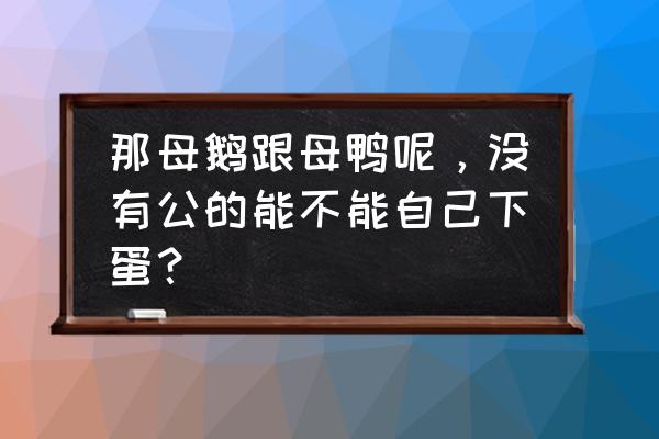 儿童在家怎么孵小鹅不用专业用具 那母鹅跟母鸭呢，没有公的能不能自己下蛋？