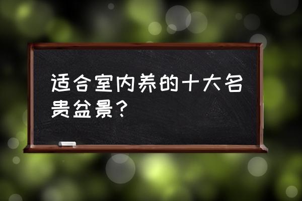 桂花盆景造型图片大全 适合室内养的十大名贵盆景？