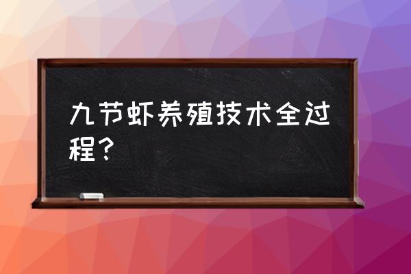 虾苗养殖前需要准备什么东西 九节虾养殖技术全过程？