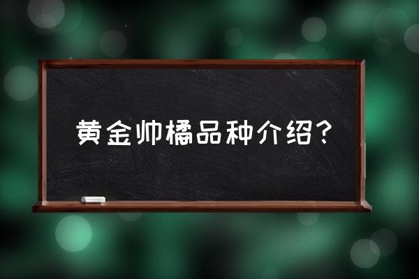 黄金柑保花保果技术 黄金帅橘品种介绍？