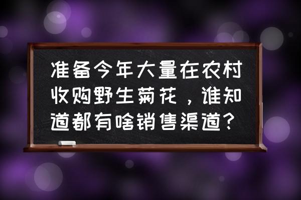 投资农贸市场如何快速收回成本 准备今年大量在农村收购野生菊花，谁知道都有啥销售渠道？